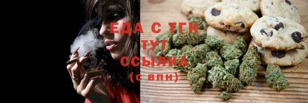 индика Пестово