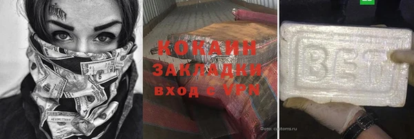 индика Пестово