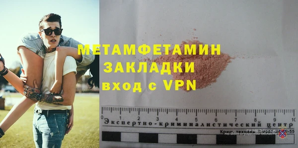 индика Пестово