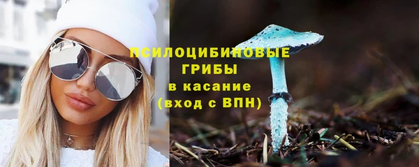 меф Пересвет