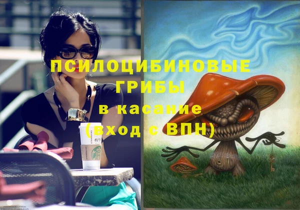 дмт Переславль-Залесский