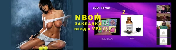 индика Пестово