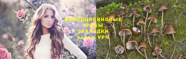 дмт Переславль-Залесский