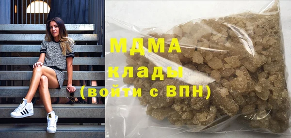 индика Пестово