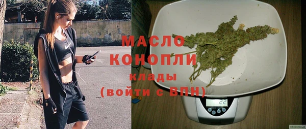 дмт Переславль-Залесский