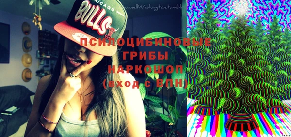 дмт Переславль-Залесский