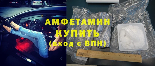 индика Пестово