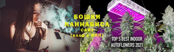 дмт Переславль-Залесский