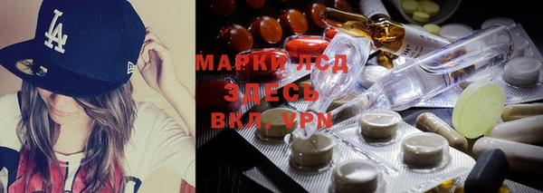 индика Пестово
