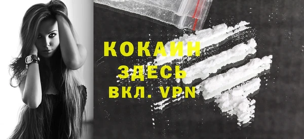 индика Пестово