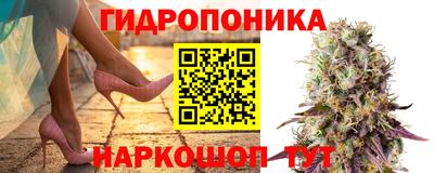 2c-b Кандалакша