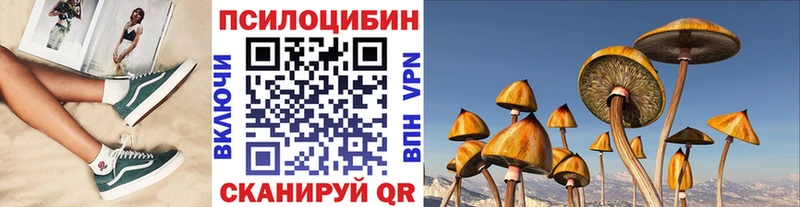 Псилоцибиновые грибы Psilocybe  где купить   Приморско-Ахтарск 