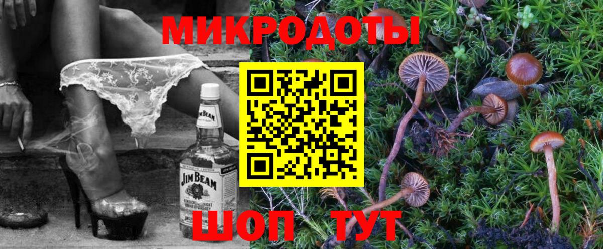 Галлюциногенные грибы Psilocybe Приморско-Ахтарск