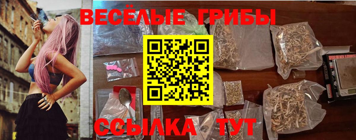 Галлюциногенные грибы ЛСД  Псилоцибиновые грибы Psilocybine cubensis  Приморско-Ахтарск 