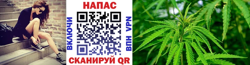 Шишки марихуана VHQ  Приморско-Ахтарск 